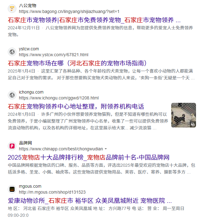 在必应中国的宠物店搜索结果