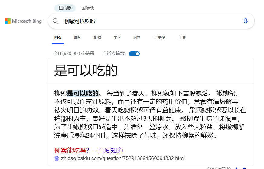 Bing AI search results example