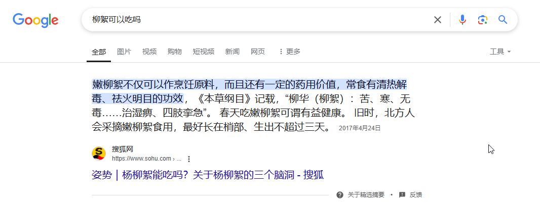 Bing AI search results example