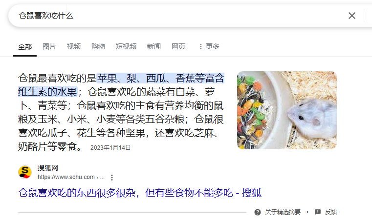 仓鼠喜欢吃什么