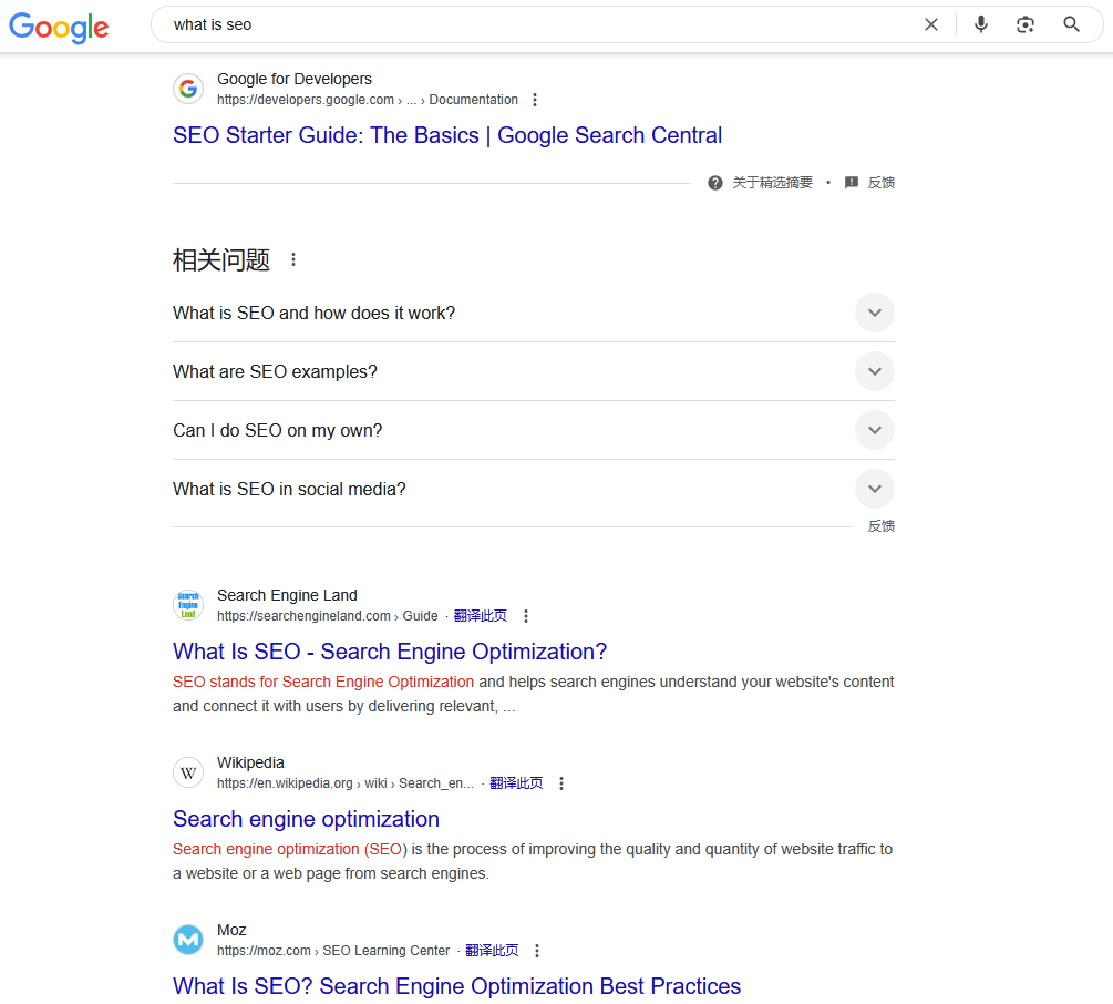 Search results for What is SEO on Google